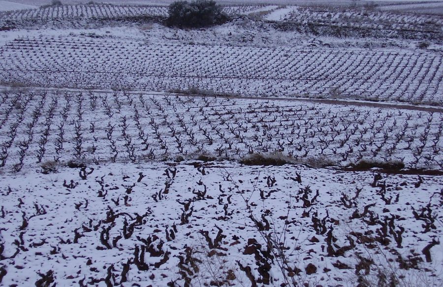 nieve
