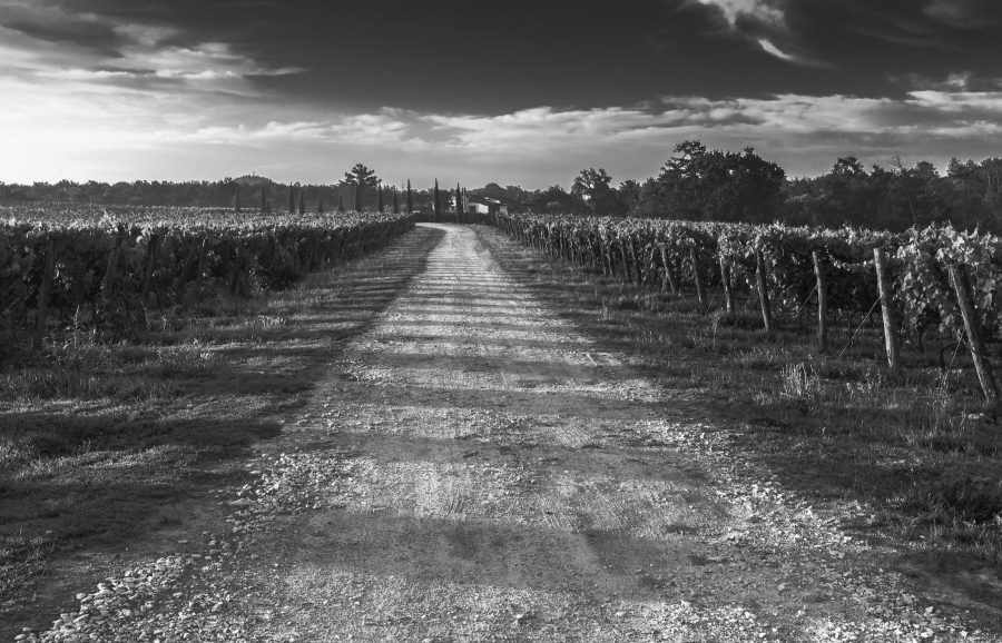 pexels-pixabay-52725-modified